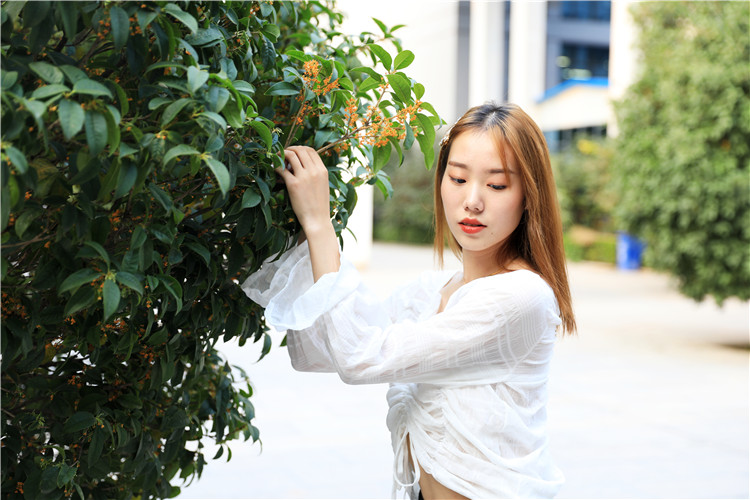 闻香而来