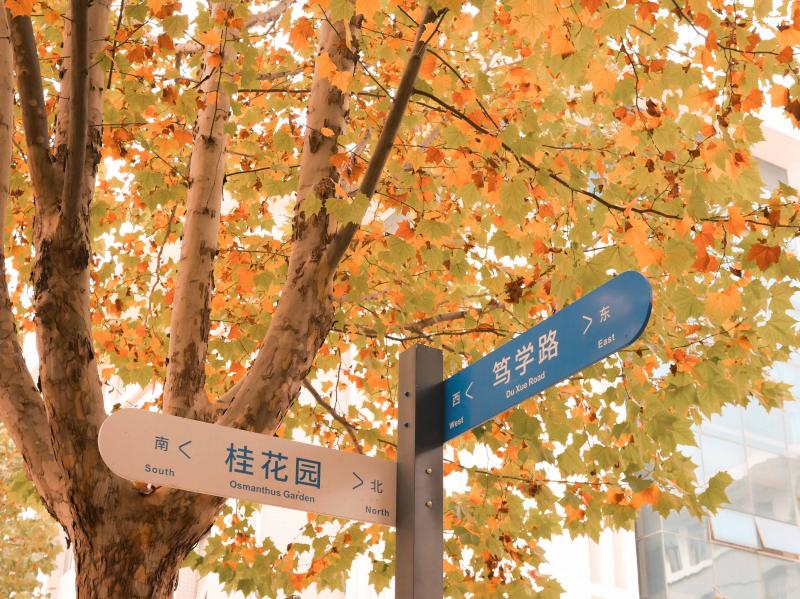 左右之间皆是风景
